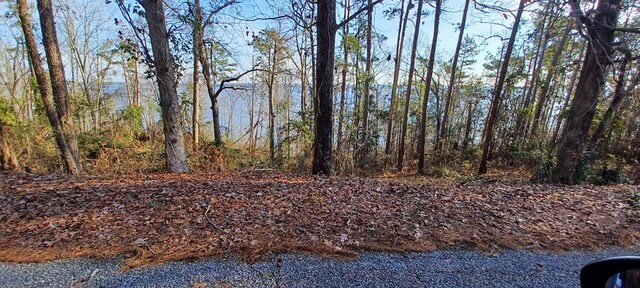 LANDONLY Lakeshore, Abbeville, AL 36310 - photo 5