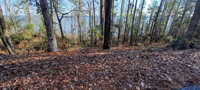 LANDONLY Lakeshore, Abbeville, AL 36310 - photo 8