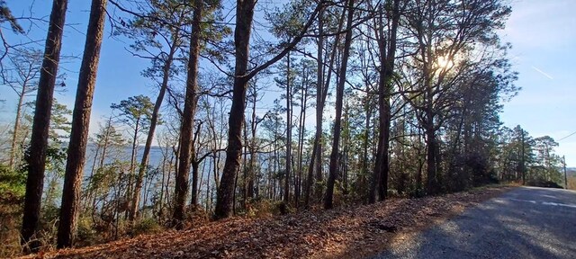LANDONLY Lakeshore, Abbeville, AL 36310 - photo 9