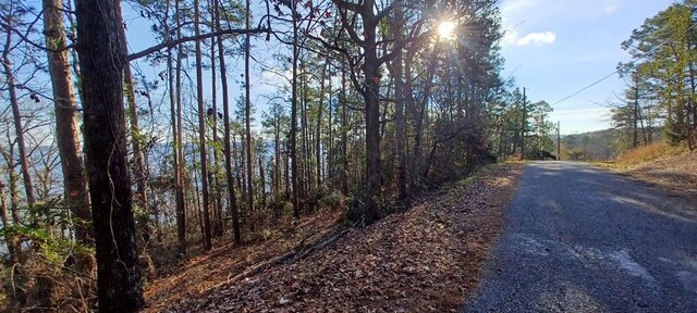 LANDONLY Lakeshore, Abbeville, AL 36310 - photo 6