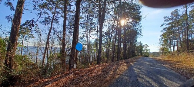LANDONLY Lakeshore, Abbeville, AL 36310 - photo 3