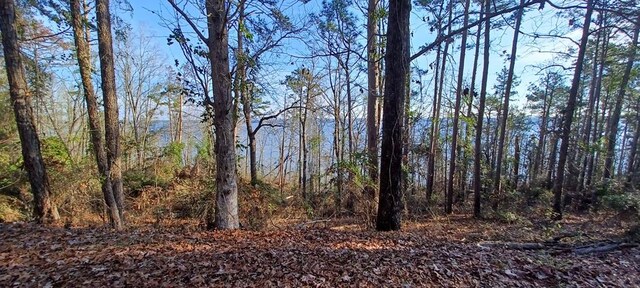 LANDONLY Lakeshore, Abbeville, AL 36310 - photo 4