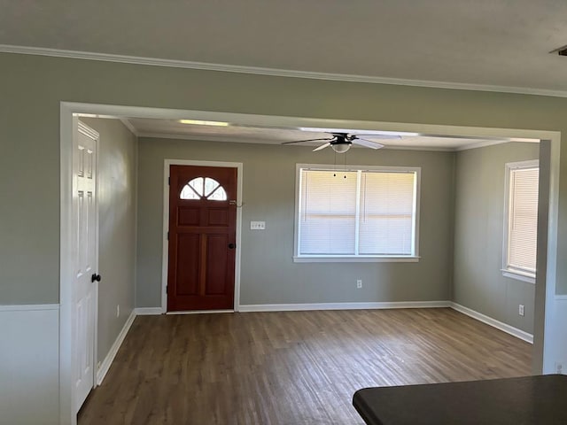 entryway featuring a healthy amount of sunlight, dark hardwood / wood-style floors, ceiling fan, and ornamental molding