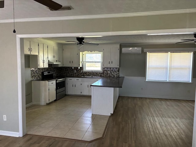 kitchen with white cabinetry, sink, kitchen peninsula, stainless steel range with electric cooktop, and ornamental molding