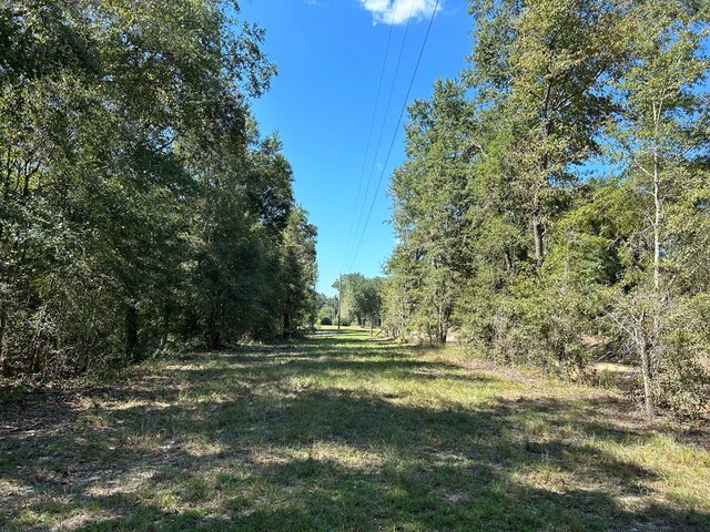94-AC Barnes Rd, Gordon, AL 36343 - photo 15
