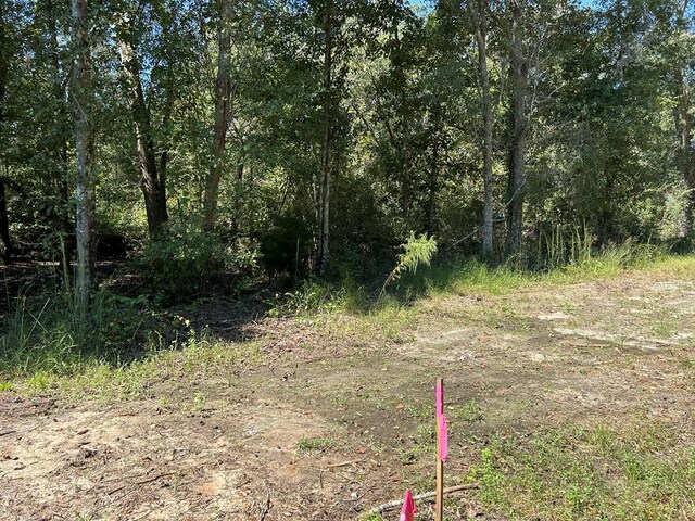 94-AC Barnes Rd, Gordon, AL 36343 - photo 17