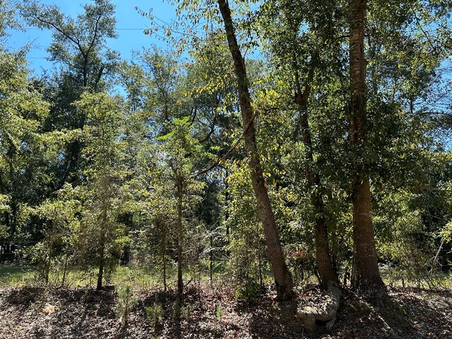 94-AC Barnes Rd, Gordon, AL 36343 - photo 8