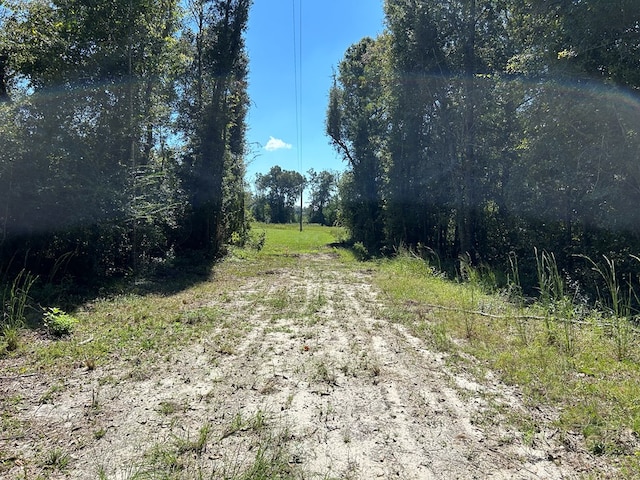 94-AC Barnes Rd, Gordon, AL 36343 - photo 16