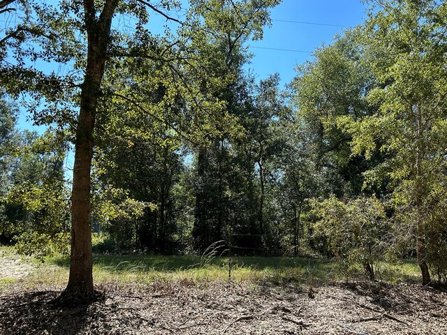 94-AC Barnes Rd, Gordon, AL 36343 - photo 7