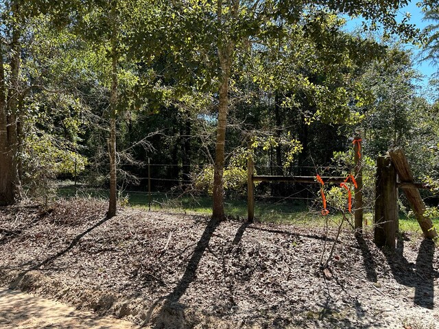 94-AC Barnes Rd, Gordon, AL 36343 - photo 12