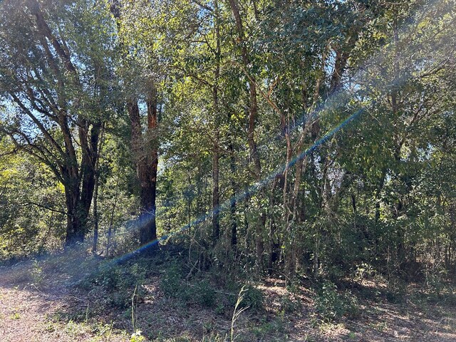 94-AC Barnes Rd, Gordon, AL 36343 - photo 14