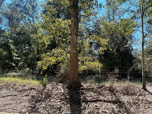 94-AC Barnes Rd, Gordon, AL 36343 - photo 10