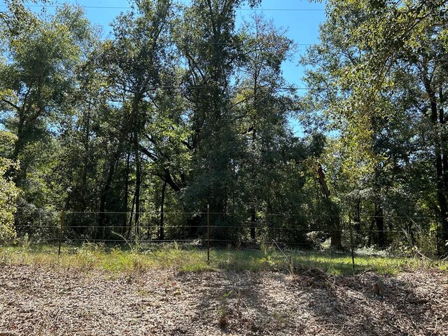 94-AC Barnes Rd, Gordon, AL 36343 - photo 1