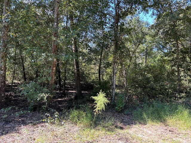 94-AC Barnes Rd, Gordon, AL 36343 - photo 18