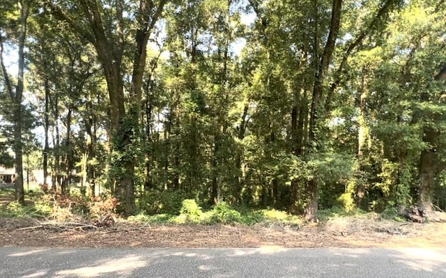 57ACRES Riverside Dr, Dothan AL, 36303 land for sale