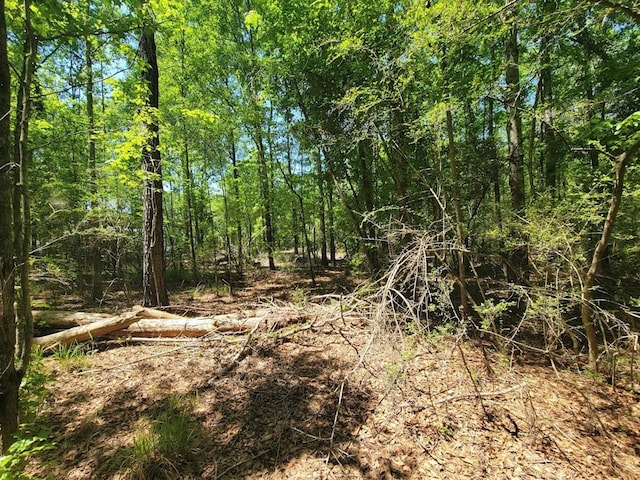 0 S State Highway 27, Geneva, AL 36340