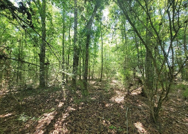 0 S State Highway 27, Geneva, AL 36340