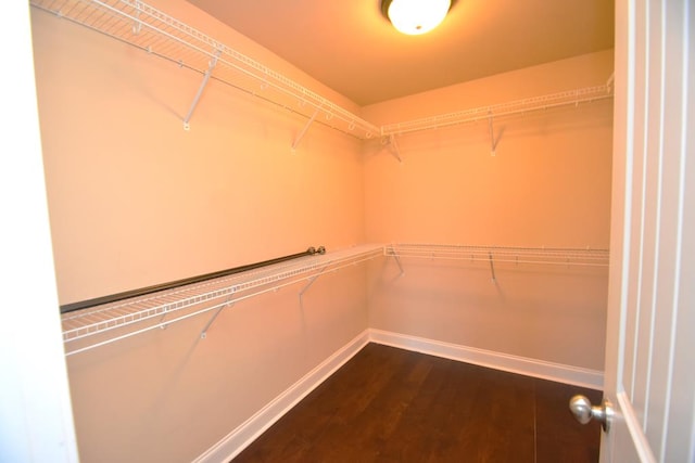 walk in closet featuring dark hardwood / wood-style floors