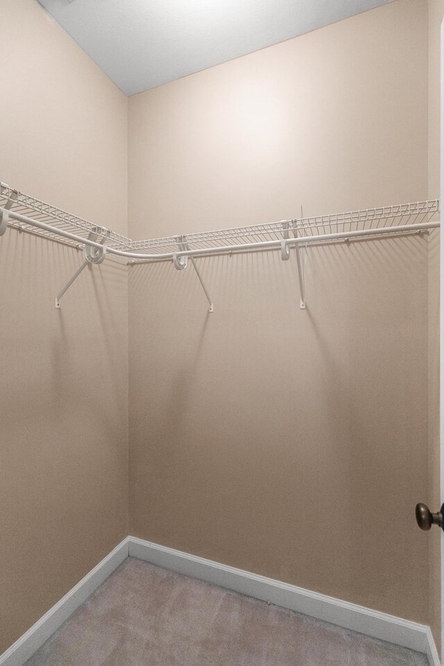 170 County Road 751, Enterprise, AL 36330 - walk in closet with light colored carpet