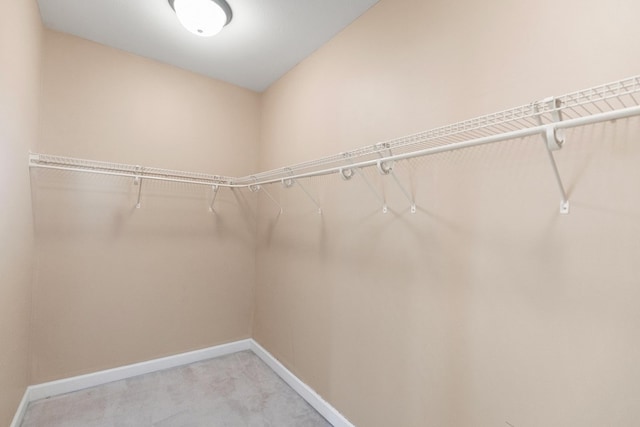 170 County Road 751, Enterprise, AL 36330 - walk in closet with light carpet