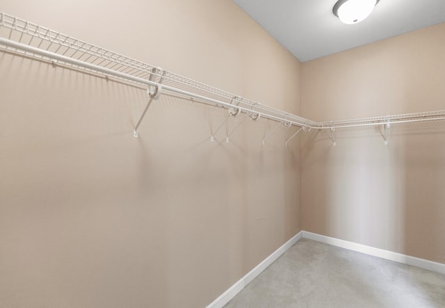170 County Road 751, Enterprise, AL 36330 - view of walk in closet