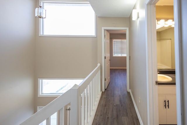 hallway with dark hardwood / wood-style flooring and sink