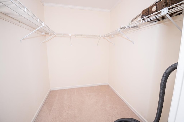 spacious closet with carpet