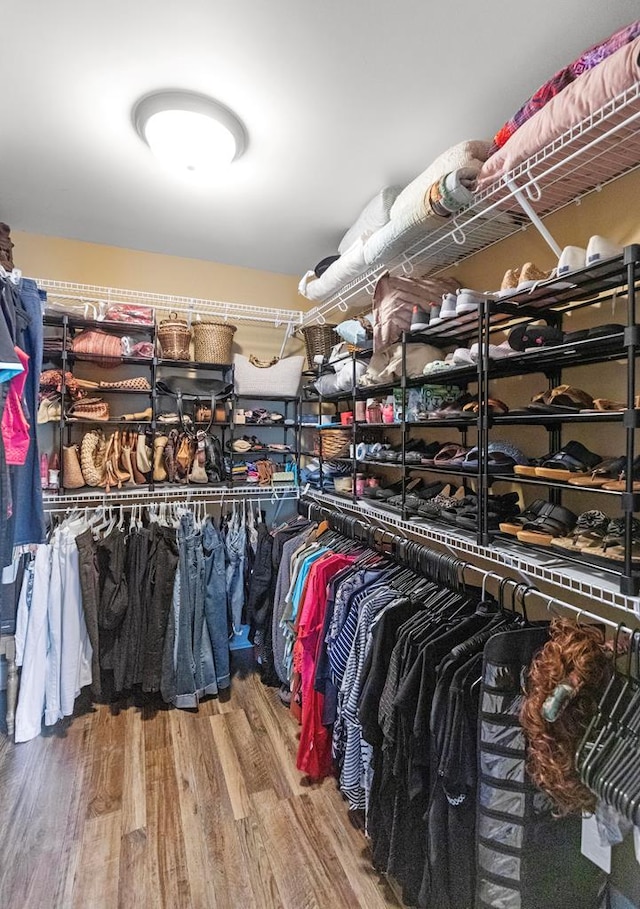 walk in closet featuring hardwood / wood-style floors