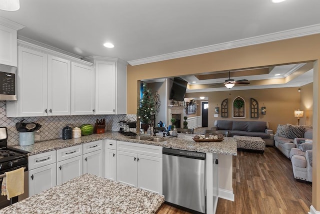 kitchen with white cabinets, dark hardwood / wood-style flooring, and appliances with stainless steel finishes