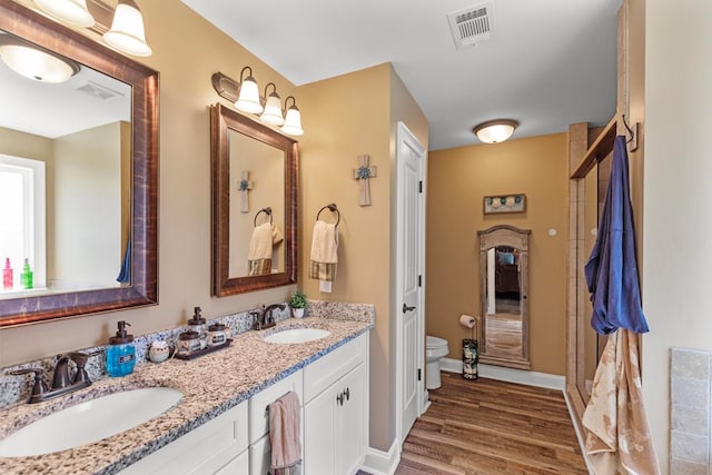 bathroom with vanity, wood-type flooring, and toilet