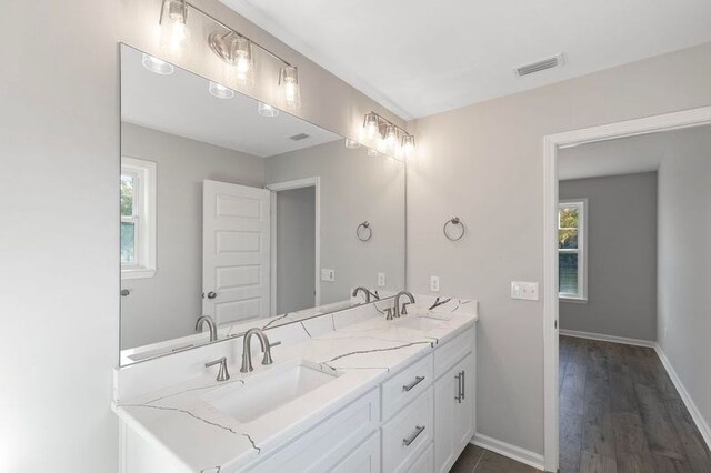 bathroom featuring vanity, hardwood / wood-style flooring, and a wealth of natural light