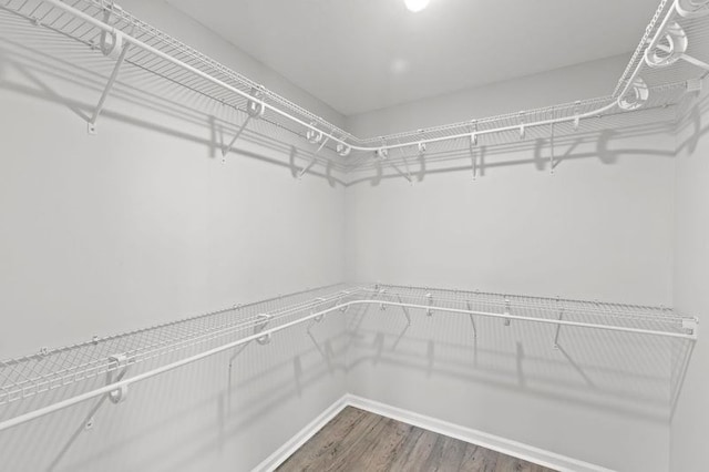 spacious closet with wood-type flooring