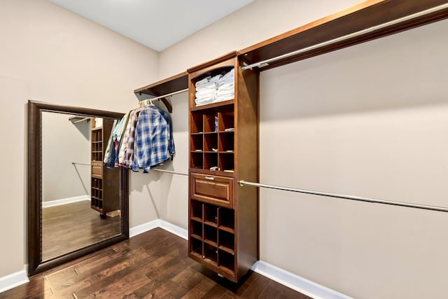 walk in closet with dark wood-type flooring