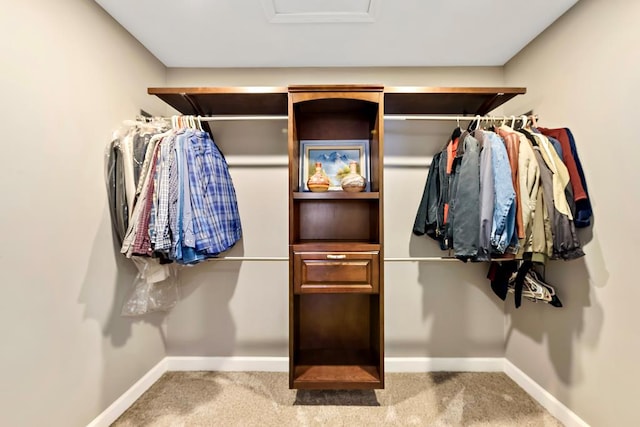 walk in closet featuring carpet floors