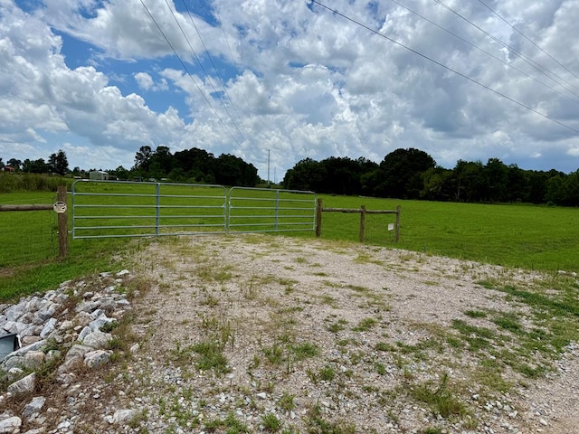 490 Bill Yance Rd, Webb, AL 36376 - photo 3