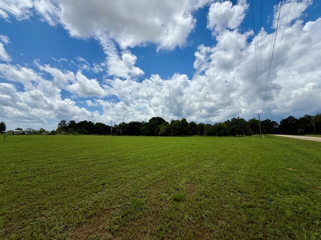 490 Bill Yance Rd, Webb, AL 36376 - photo 2