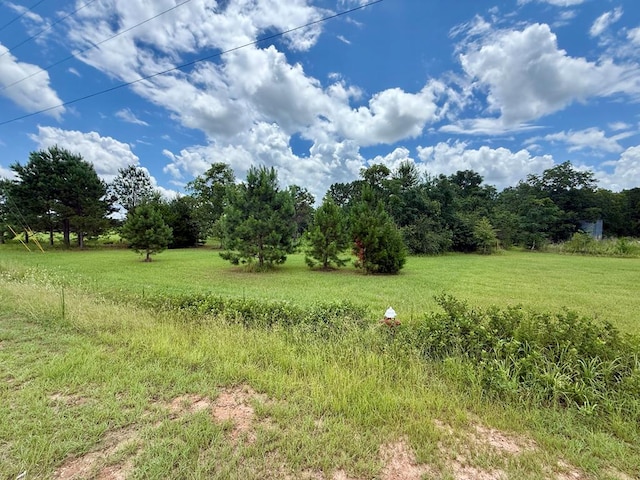 490 Bill Yance Rd, Webb, AL 36376 - photo 6