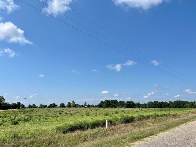 490 Bill Yance Rd, Webb, AL 36376 - photo 10