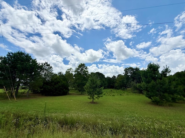 490 Bill Yance Rd, Webb, AL 36376 - photo 8