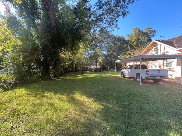 503 Catalpa Ave, Dothan, AL 36301 - photo 8