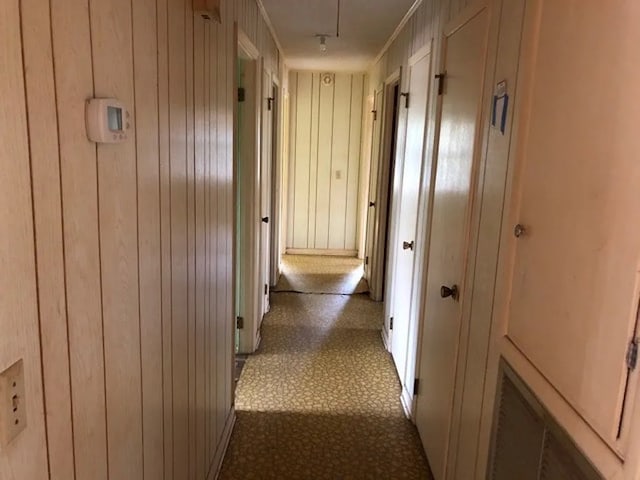 5131 County Rd 417, Kinston, AL 36453 - hallway featuring wood walls and baseboards