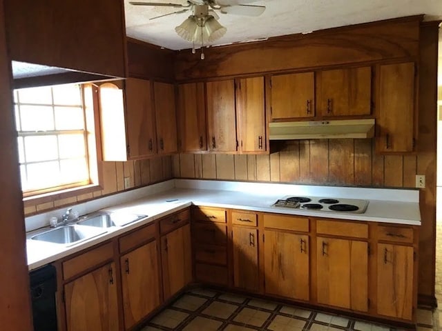 5131 County Rd 417, Kinston, AL 36453 - kitchen featuring under cabinet range hood, white electric stovetop, and light countertops