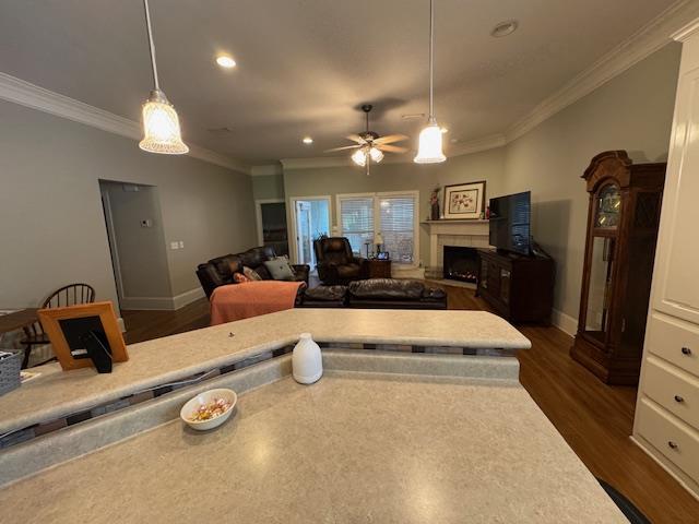 208 Craftsman Dr, Dothan, AL 36303 - living area with a fireplace, ornamental molding, dark wood finished floors, recessed lighting, and ceiling fan