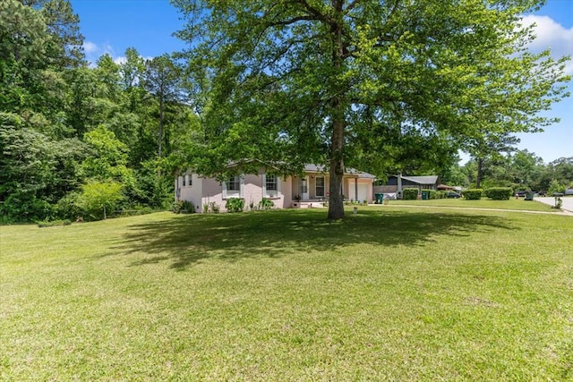 167 Stephanie Dr, Ozark, AL 36360 - photo 23