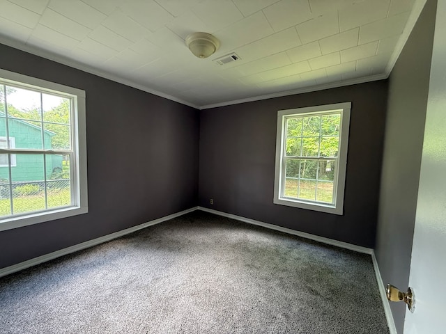 1028 S Bell St, Dothan, AL 36301 - carpeted empty room featuring plenty of natural light, ornamental molding, and baseboards
