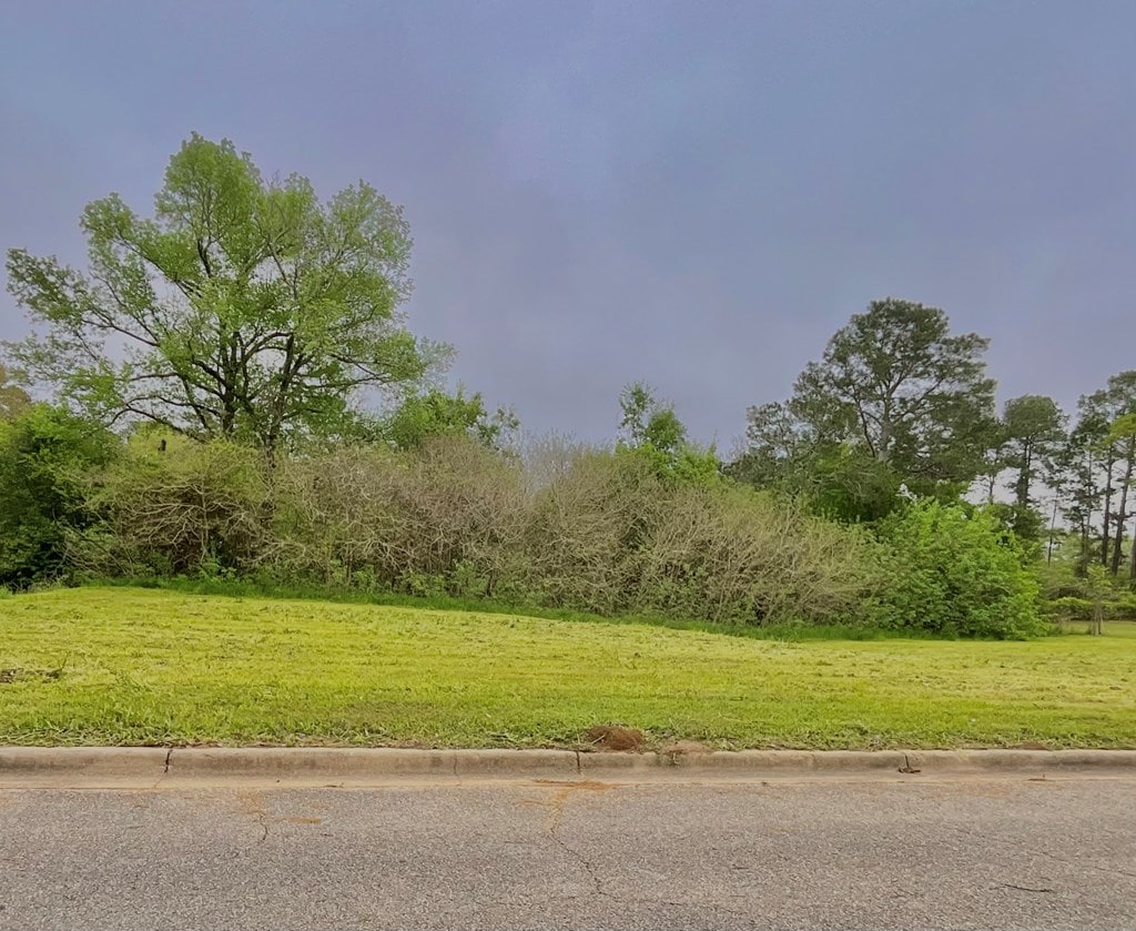 LOT8 Lennox Ave, Dothan, AL 36303 - photo 3