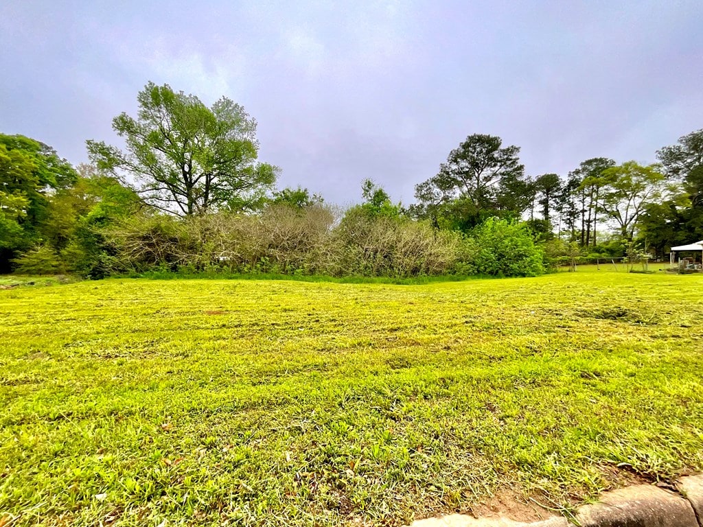 LOT8 Lennox Ave, Dothan, AL 36303 - photo 2