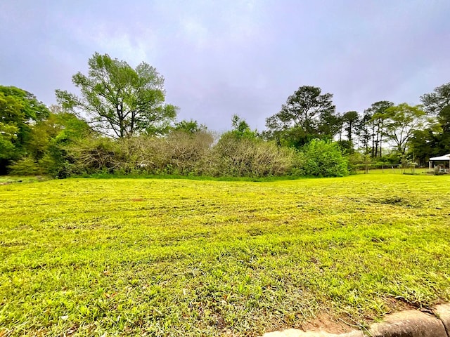 LOT8 Lennox Ave, Dothan, AL 36303 - photo 2