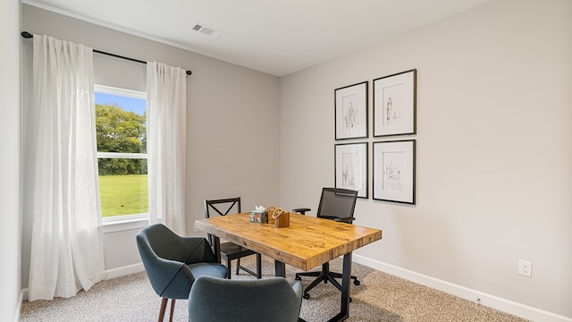 carpeted office space with plenty of natural light