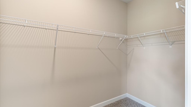 310 Heritage Way, Headland, AL 36345 - spacious closet featuring carpet
